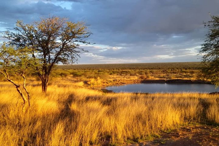 Farm For Sale in Gobabis