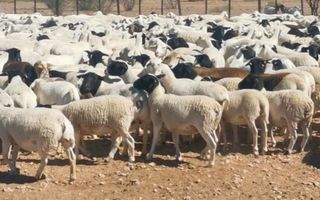 Farm For Sale in Keetmanshoop Central, Keetmanshoop