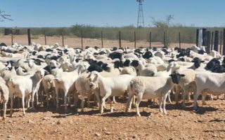 Farm For Sale in Keetmanshoop Central, Keetmanshoop