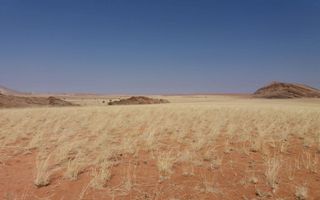 Farm For Sale in Windhoek Central, Windhoek