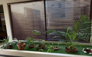 6 Bedroom House For Sale in Swakopmund Central, Swakopmund