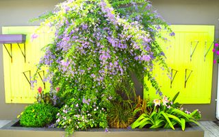 6 Bedroom Freehold For Sale in Swakopmund Central, Swakopmun...