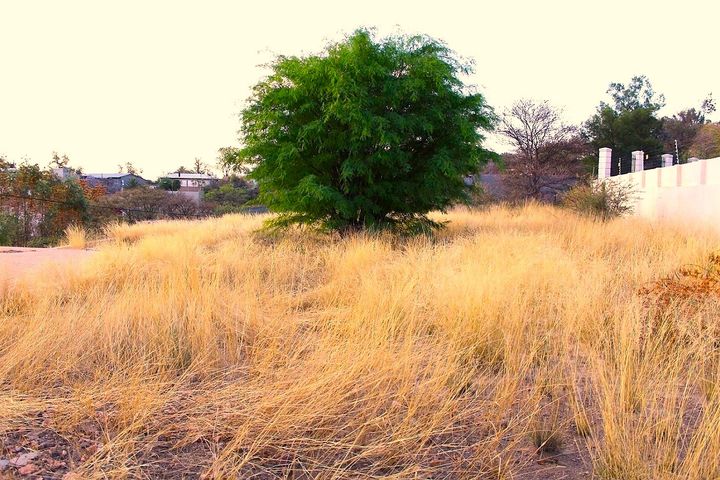 Vacant Land For Sale in Eros, Windhoek