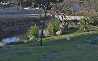 Vacant Land For Sale in Finkenstein Manor, Windhoek