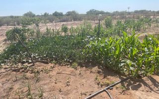 3 Bedroom Farm For Sale in Rehoboth Central, Rehoboth