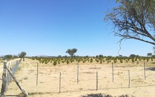5 Bedroom Smallholding For Sale in Omaruru