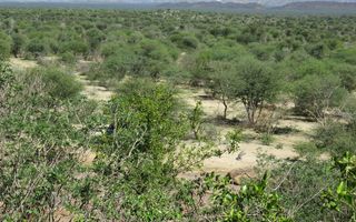 5 Bedroom Smallholding For Sale in Omaruru