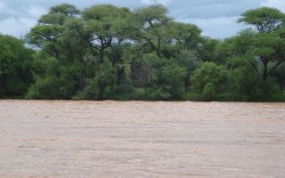 5 Bedroom Smallholding For Sale in Omaruru