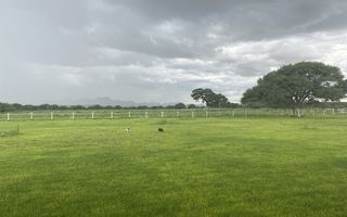 21 Bedroom Smallholding For Sale in Aris, Windhoek