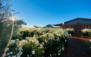 21 Bedroom Smallholding For Sale in Aris, Windhoek