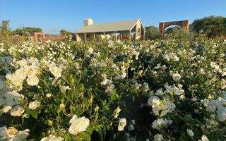 21 Bedroom Smallholding For Sale in Aris, Windhoek