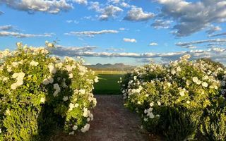 21 Bedroom Smallholding For Sale in Aris, Windhoek