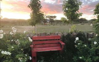 21 Bedroom Smallholding For Sale in Aris, Windhoek