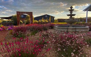 21 Bedroom Smallholding For Sale in Aris, Windhoek
