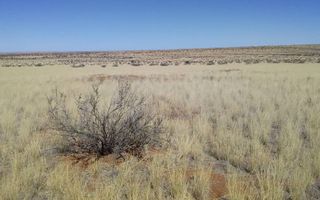 3 Bedroom Farm For Sale in Karasburg