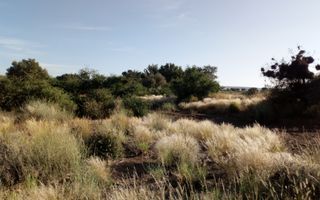 3 Bedroom Farm For Sale in Karasburg