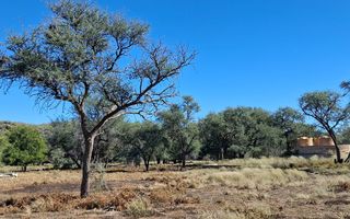 Farm For Sale in Okahandja