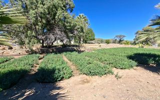 Farm For Sale in Okahandja
