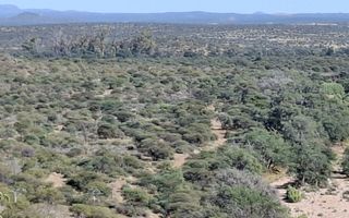 Farm For Sale in Okahandja
