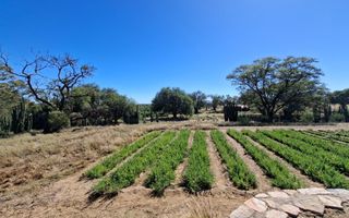 Farm For Sale in Okahandja