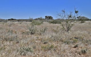 Smallholding For Sale in Stampriet