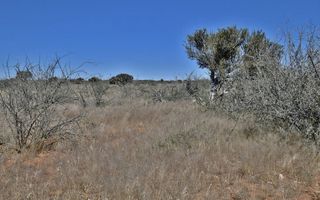 Smallholding For Sale in Stampriet