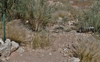 Smallholding For Sale in Stampriet