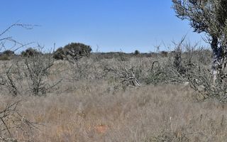 Smallholding For Sale in Stampriet