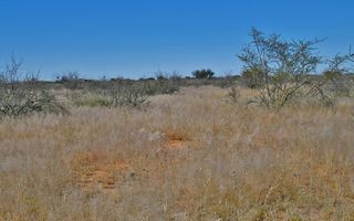 Smallholding For Sale in Stampriet