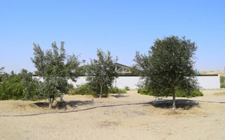 1 Bedroom Smallholding For Sale in River Plots, Swakopmund