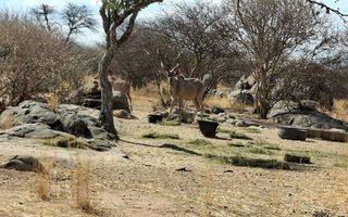 Farm For Sale in Okahandja