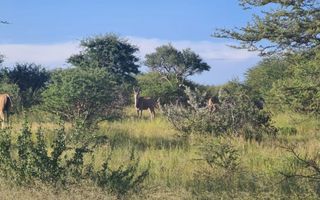 Farm For Sale in Okahandja