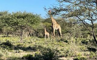 Farm For Sale in Okahandja