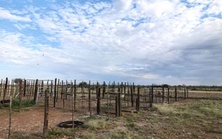 Farm For Sale in Mariental
