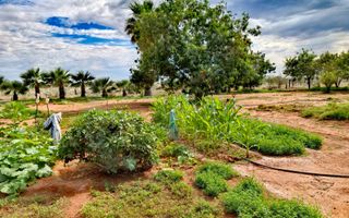Farm For Sale in Mariental