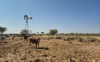 Farm For Sale in Otavi