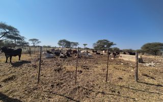 Farm For Sale in Otavi