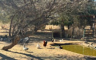 Small Holding / Plot For Sale in Okahandja
