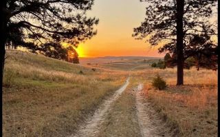 Small Holding / Plot For Sale in Hochfeld