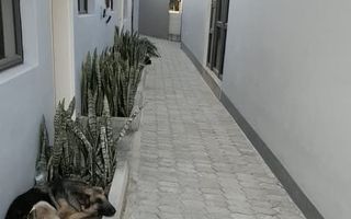 House For Sale in Ongwediva