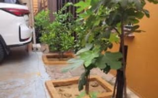 House For Sale in Academia, Windhoek