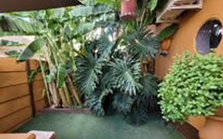 House For Sale in Academia, Windhoek