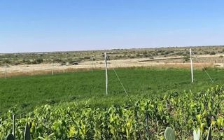 Small Holding / Plot For Sale in Namibia