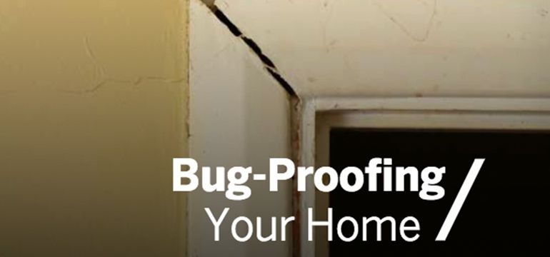 Bug-proofing your home