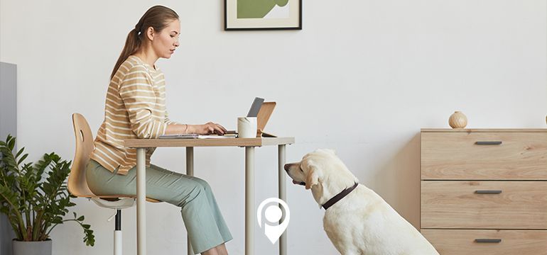 3 WORK-FROM-HOME WELLNESS TIPS