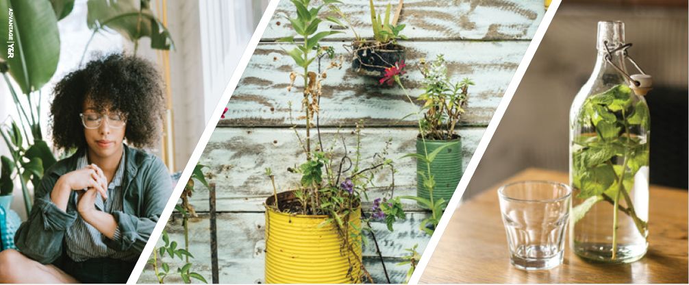 Make your home enviro-friendly